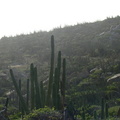 2007 10-Aruba Canyon